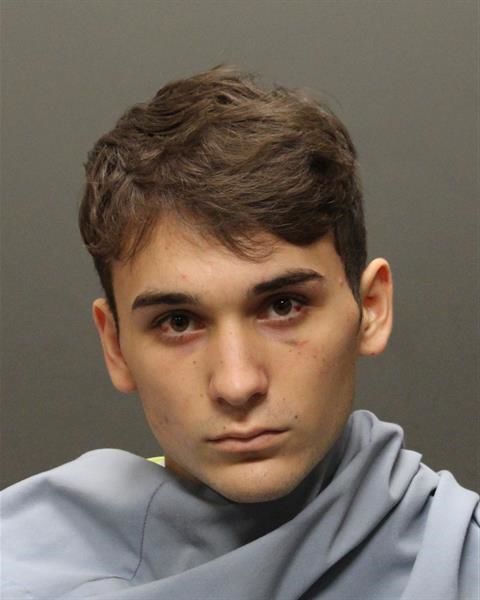 Mug shots 2017